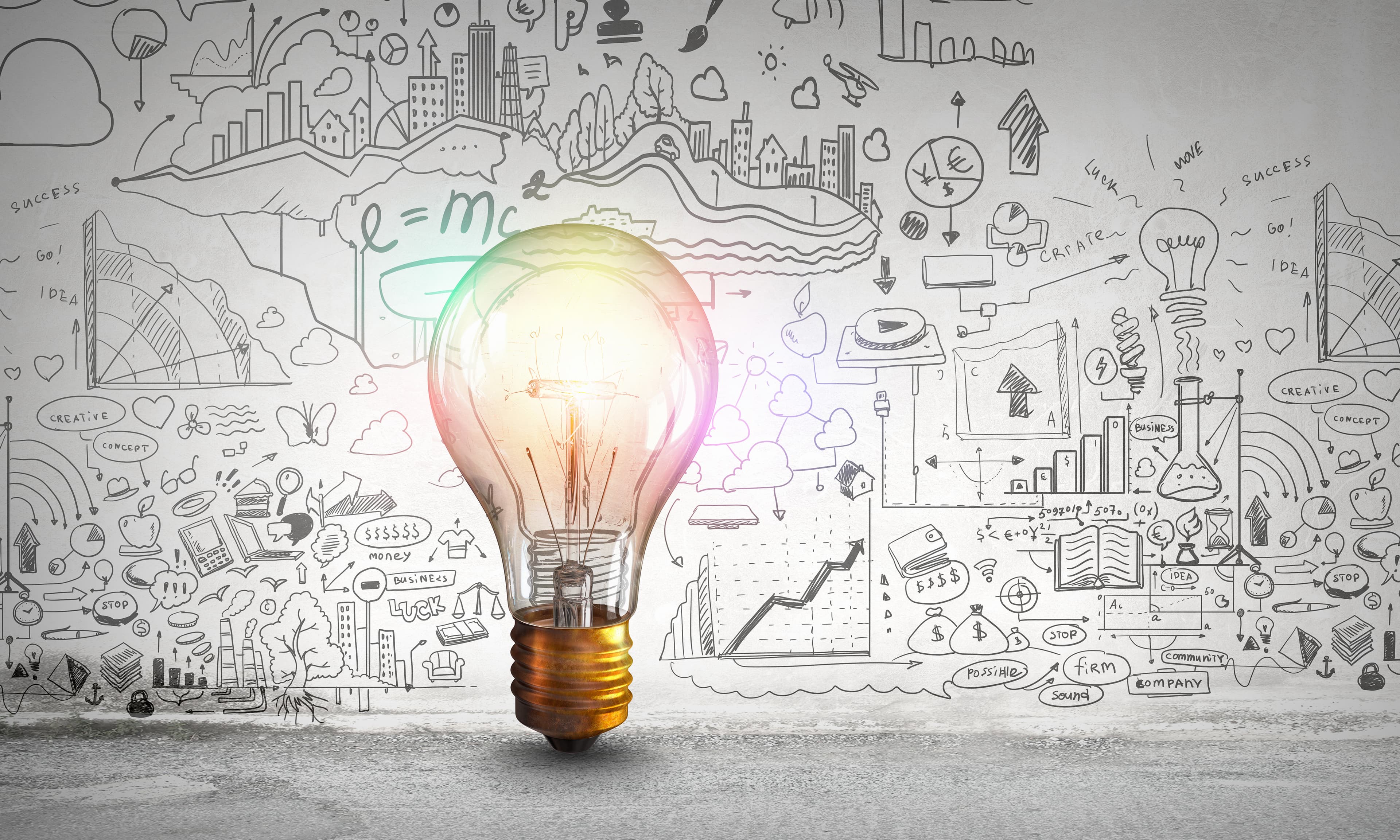 Strategy, Training & Managed Support